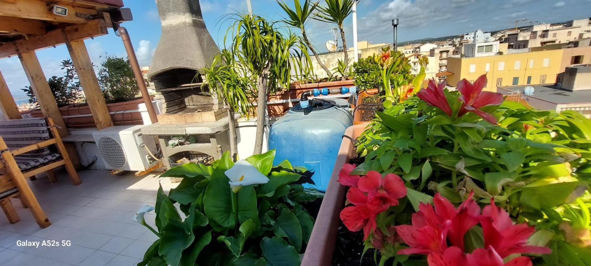 Appartamento Con Terrazza アルゲーロ エクステリア 写真